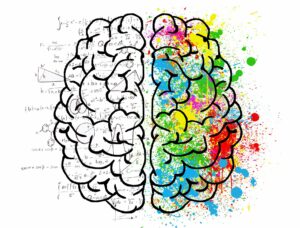 cerveau gauche analytique et cerveau droit créatif
